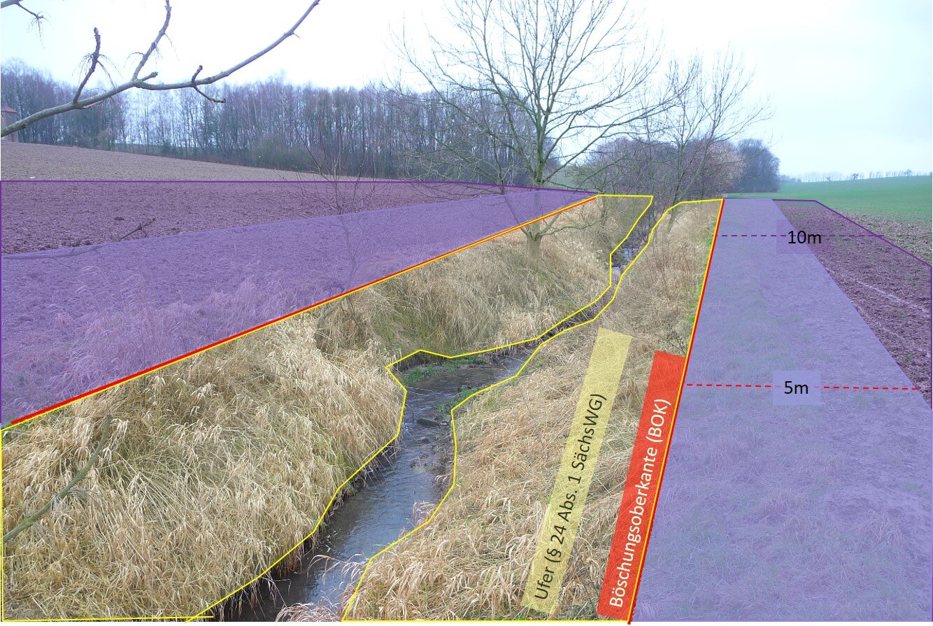 Visualisierung der grundsätzlichen rechtlichen Regelungen zur räumlichen Lage der Gewässerrandstreifen und des Ufers an einem Bach 