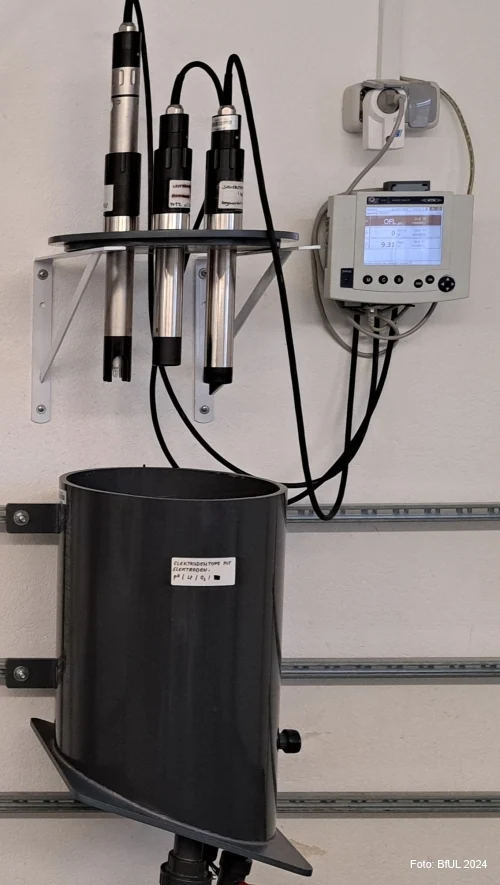 Elektrodenmesssystem