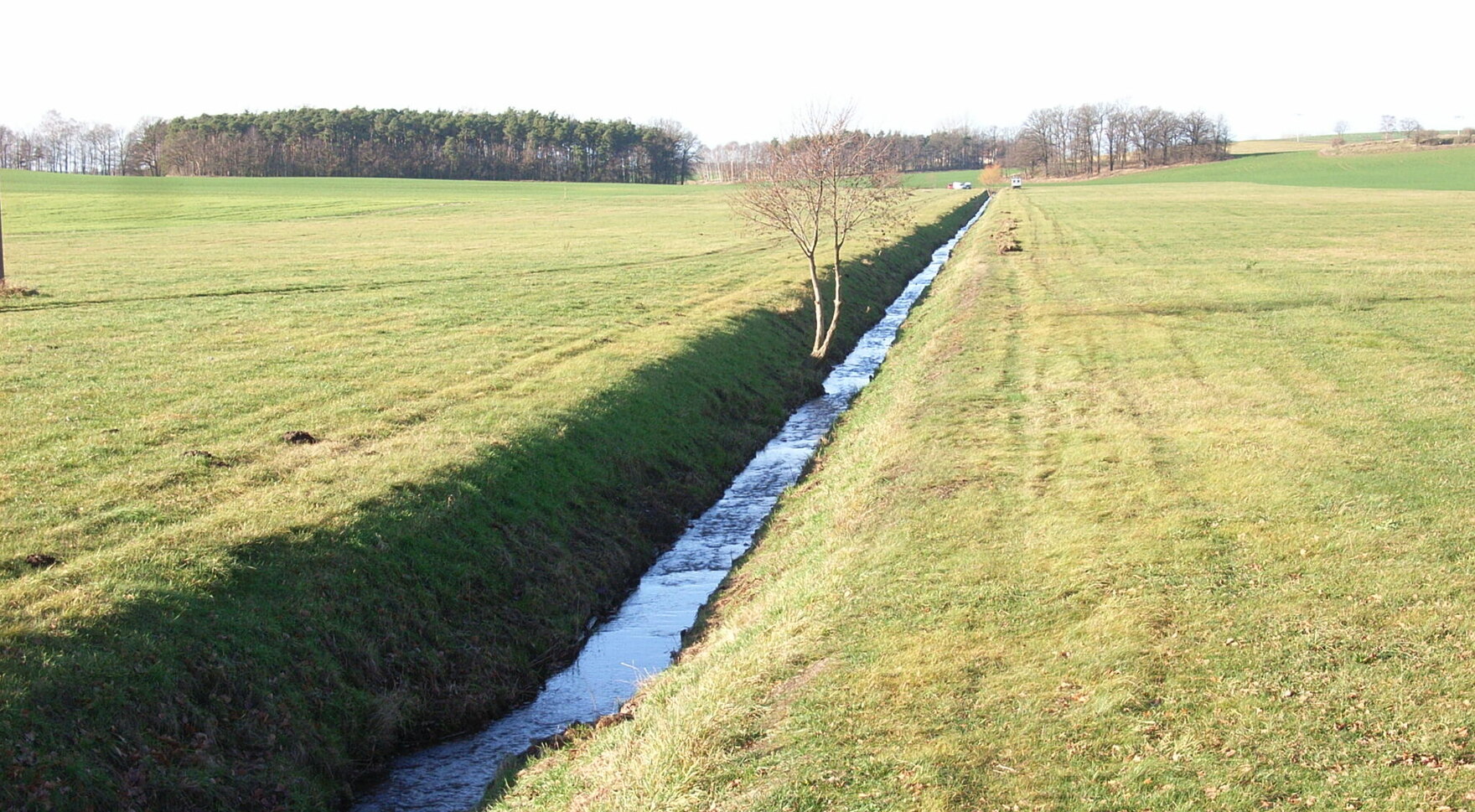 begradigter, eingetiefter und unbeschatteter Bach im sächsischen Tiefland