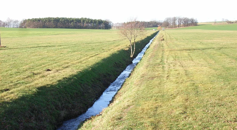 naturfern schnurgerader und tiefergelegter Bach