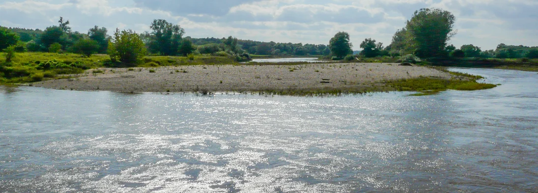 Kiesheger an der Mulde bei Laußig