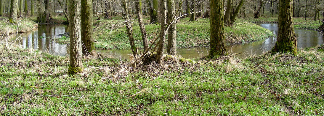 Mäanderschlinge an der Großen Röder bei Zabeltitz