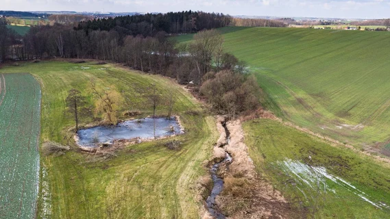 Blick auf einen Abschnitt des Mortelbaches bei Grünlichtenberg