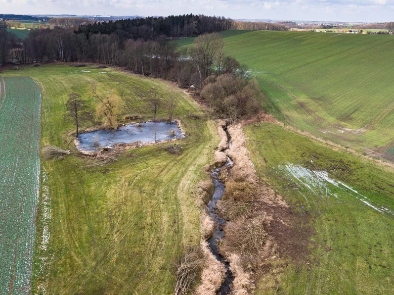 Blick auf einen Abschnitt des Mortelbaches bei Grünlichtenberg