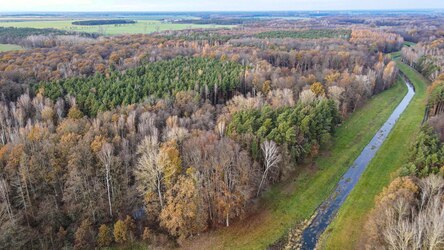 Drohnenluftbild des Röderauwalds am Gabelwehr Zabeltitz