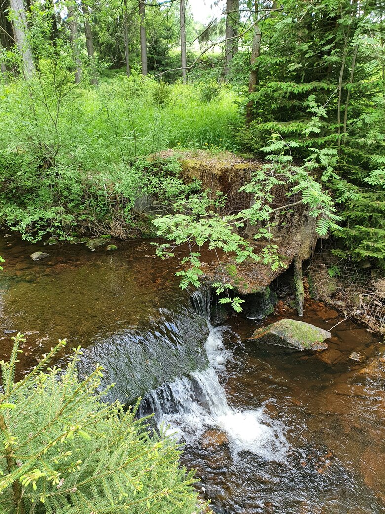 naturnahes GEwässer