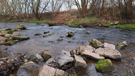 Strömungslenker an einem Fluss
