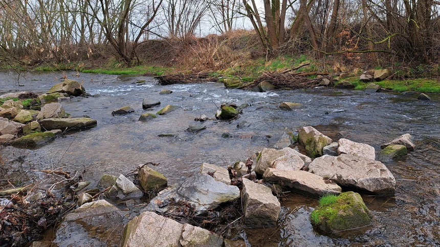Strömungslenker an einem Fluss