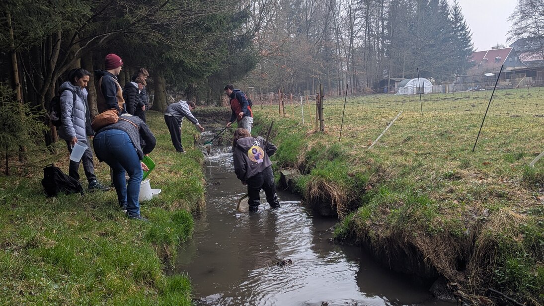 Schüler keschern im Ritterbach Makrozoobenthos (wirbellose Tiere)