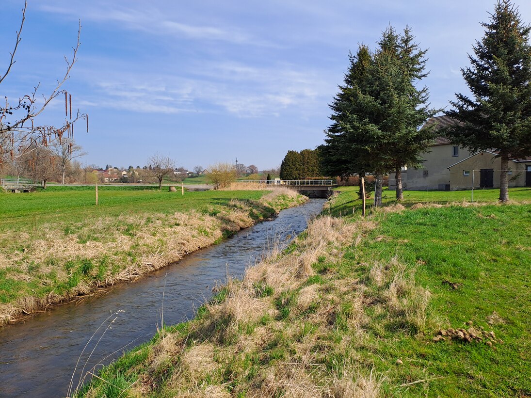 Standortfremde Gehölze, die keine Funktionen erfüllen. Eine Aufwertung durch standortgerechte Gehölze ist immer anzustreben.