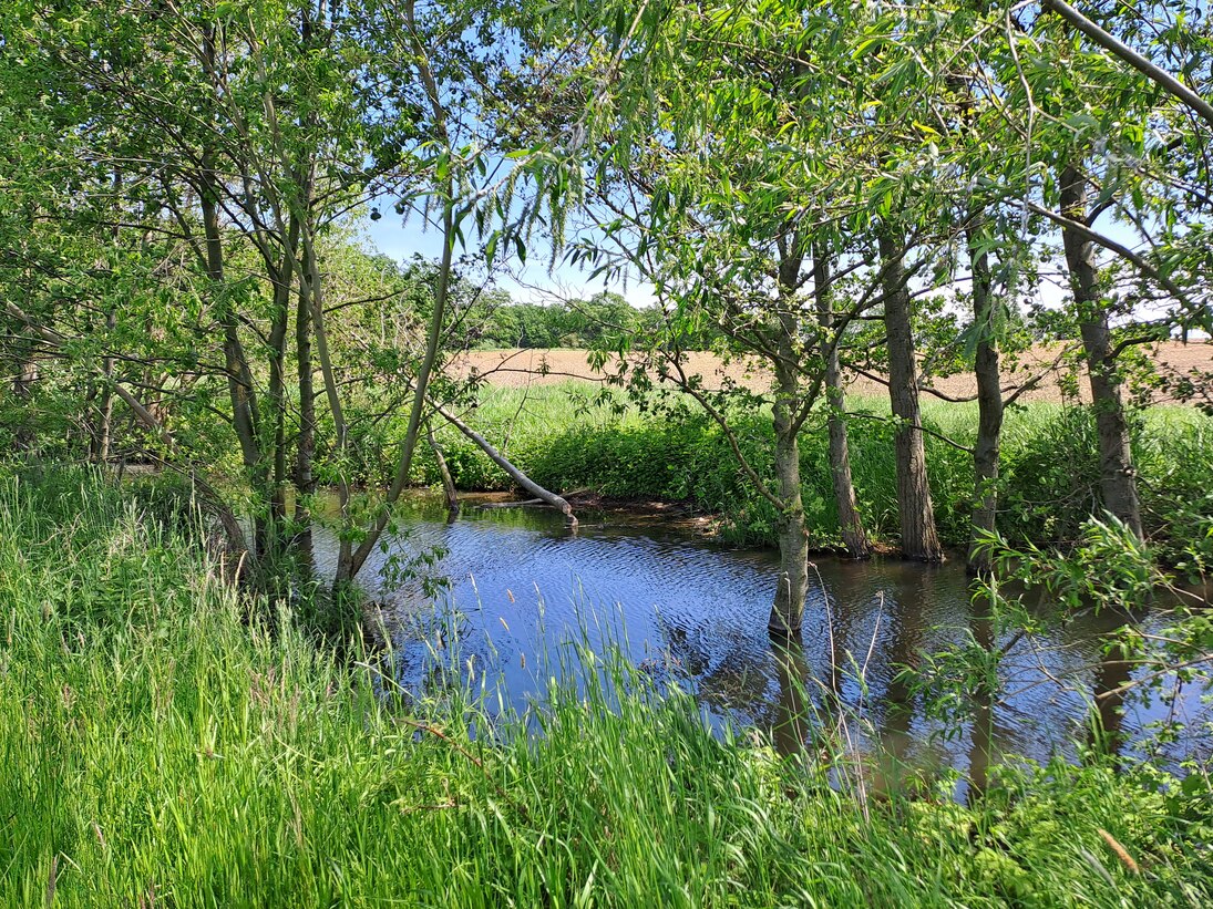 naturnahes Fließgewässer in unmittelbarer Nähe zu landwirtschaftlich genutzer Fläche