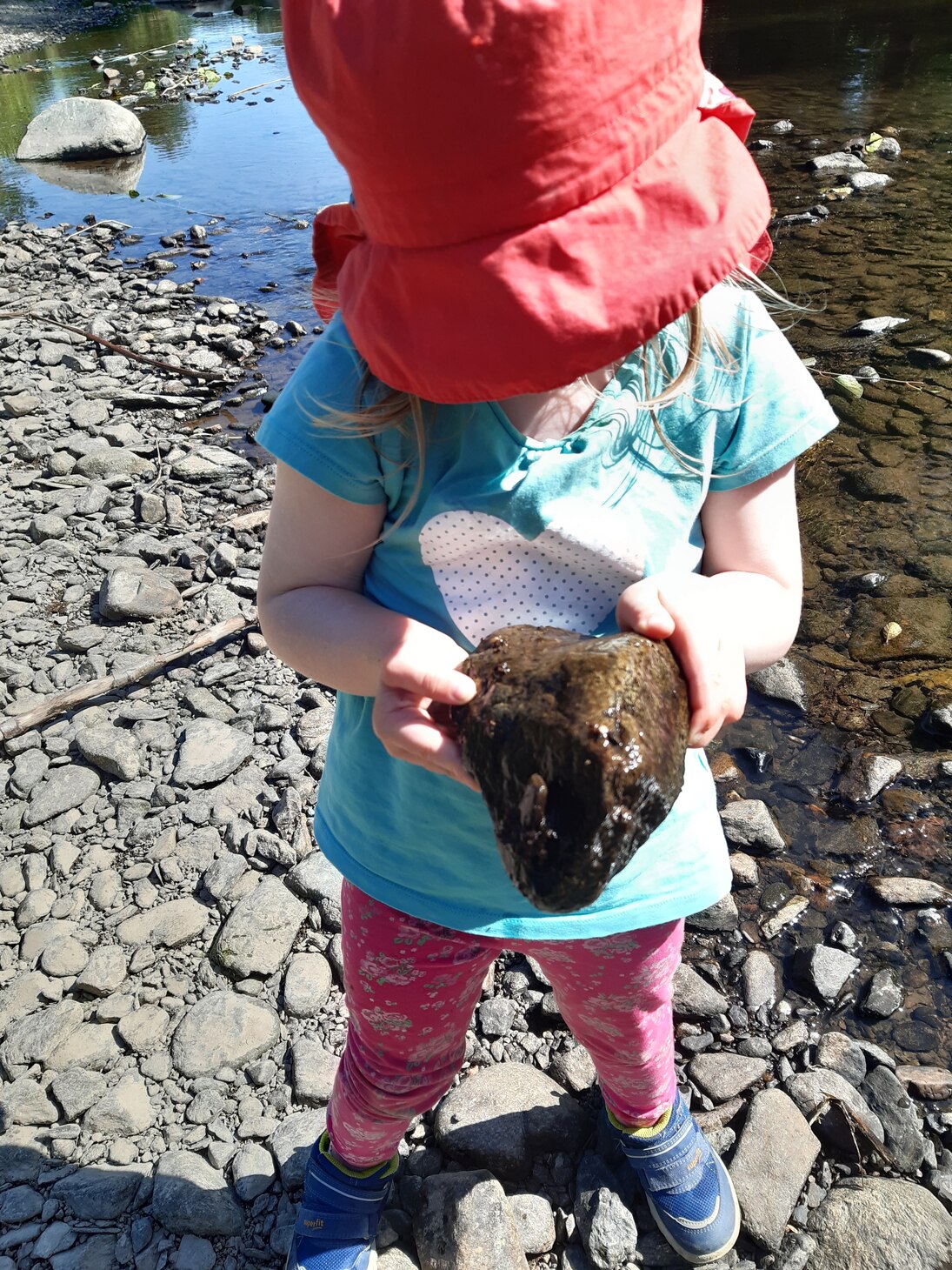 Kind untersucht Stein an einem Bach
