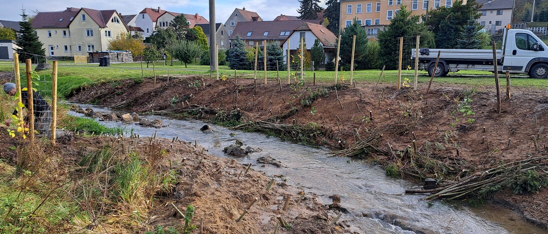 Im Rahmen eines Bauseminars wurde dem begradigten Haselbach (LK Bautzen) wieder eine naturnahe Struktur verliehen. Bauweisen aus Lebend- und Totmaterial sorgen nicht nur für eine Uferstabilisierung, sondern auch für einen naturnahen Gehölzsaum.