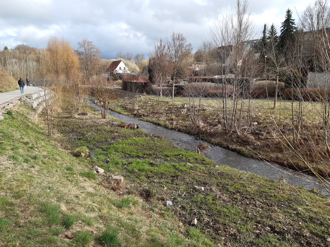 a. Das Beispiel zeigt, dass standortgerechte Gehölze sich zur optisch ansprechenden Gestaltung in Ortslagen eignen, ohne dass das Gewässer beeinträchtigt wird.