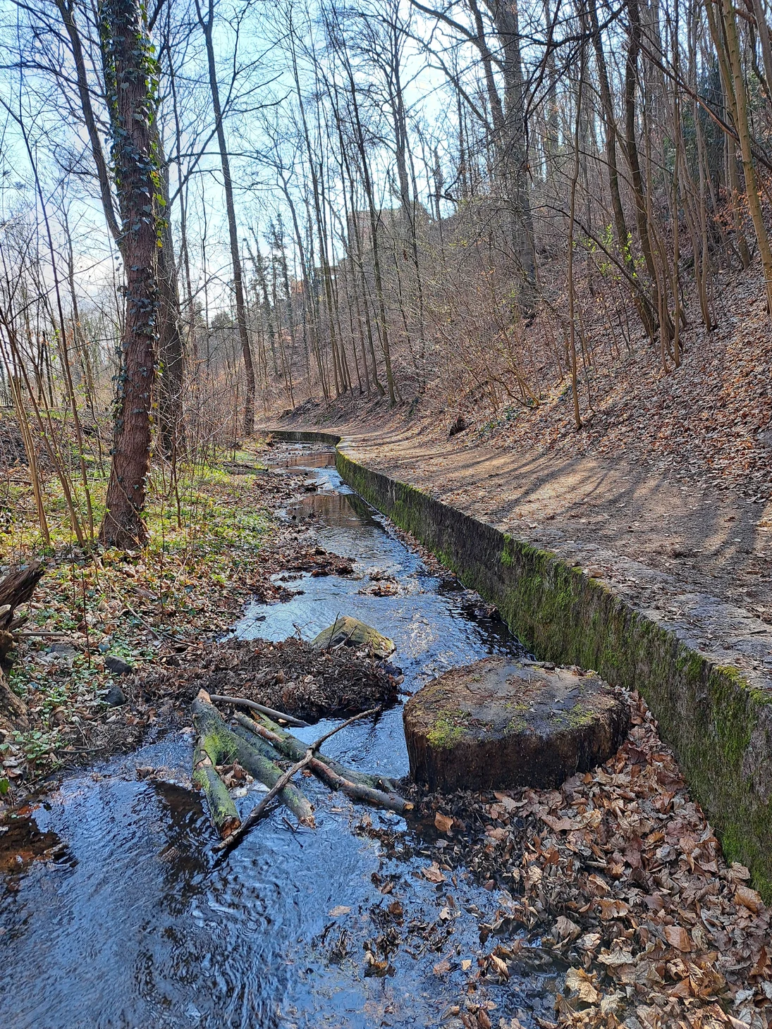 Ufermauern an einem Bach im Wald