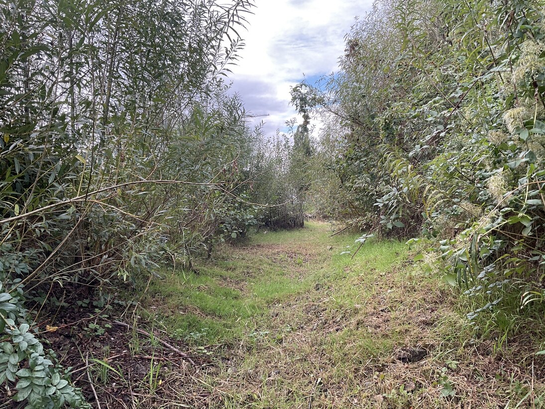 Trocken gefallener Bach