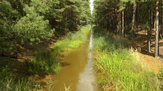schnurgerades vom Bergbau geprägtes Gewässer (hier die Struga, Nebenfluss der Spree)