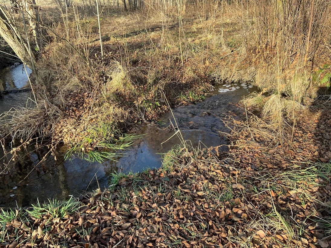 Schaumbildung im landwirtschaftlich geprägten Bereich, Ursache kann der Eintrag von Gülle oder der Moorboden sein.