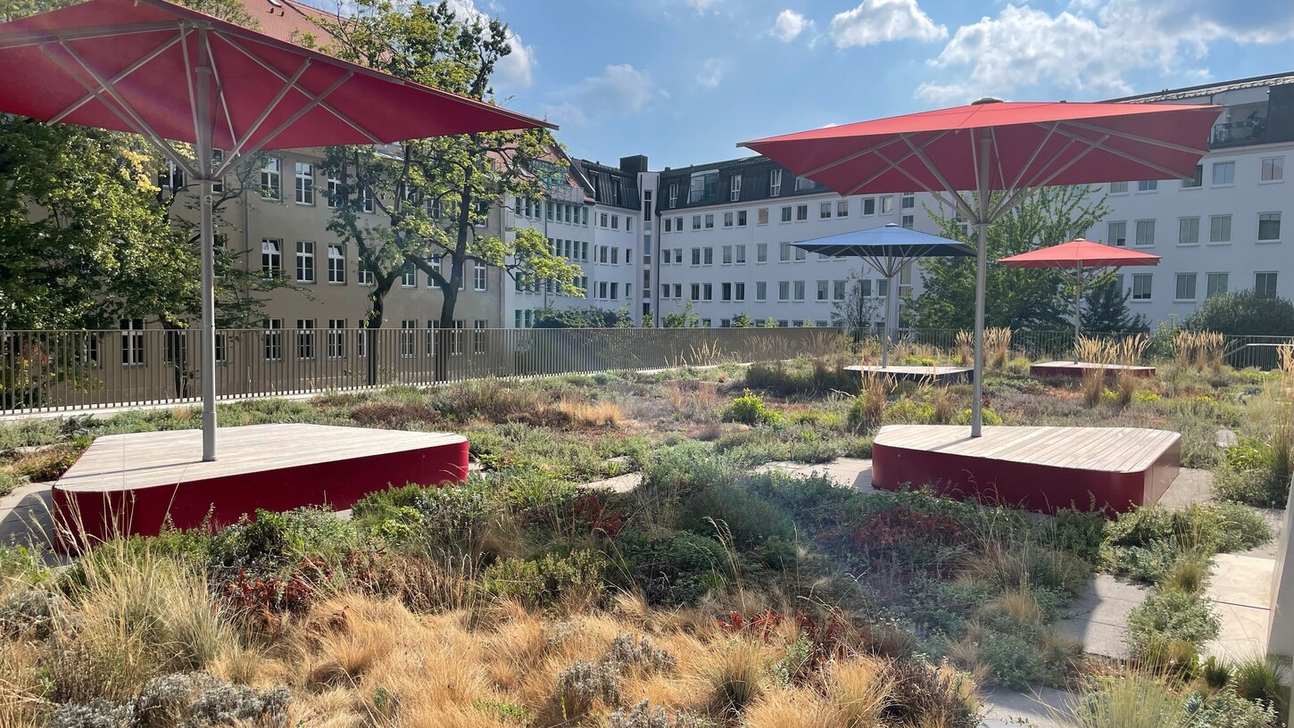 Freianlagen Berufliches Schulzentrum (BSZ) für Wirtschaft „Prof. Dr. Zeigner“ in Dresden