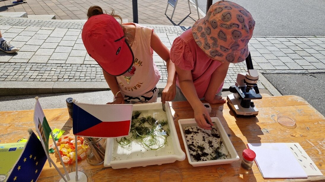 Stand AKWA beim Stadtfest zwischen den Städten Vejprty und Bärenstein am 14. Juni 2025