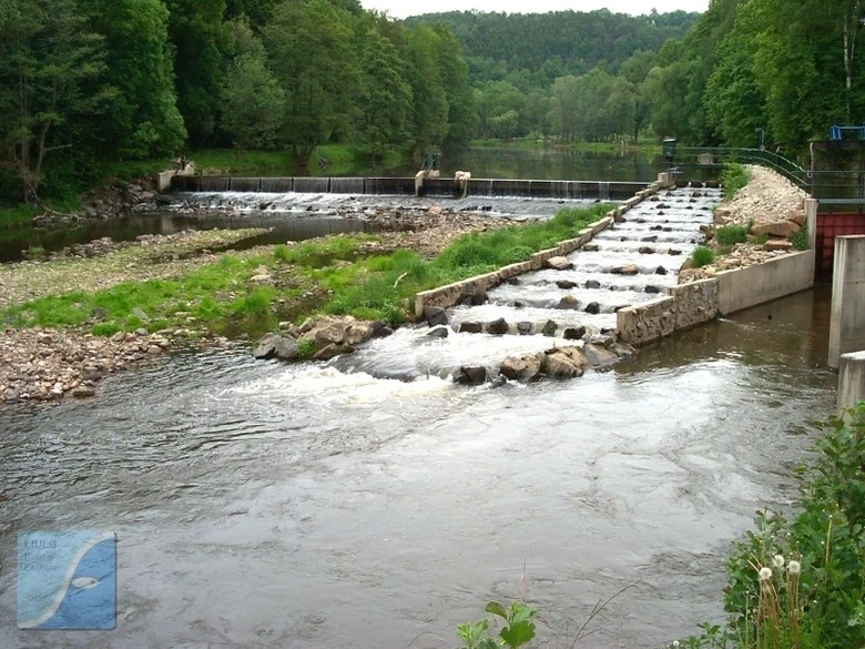 Fischaufstiegsanlage an der Zschopau