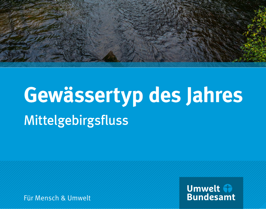 Ausschnitt Poster Gewässertyp des Jahres