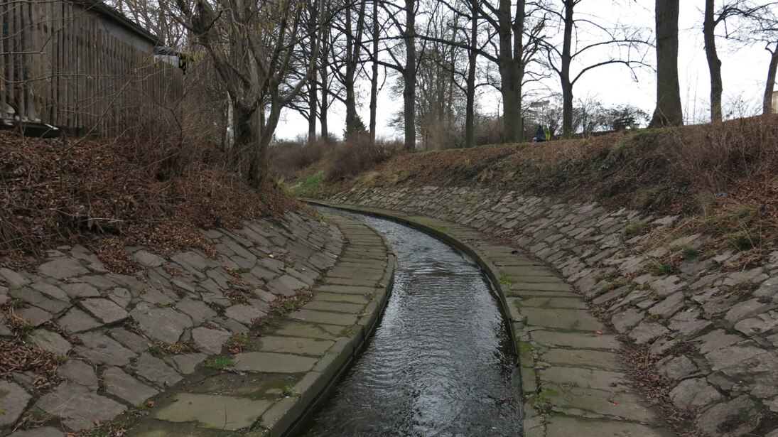Der Marienthaler Bach fließt überwiegend im städtischen Bereich in Zwickau. Um sich vor den Folgen von Hochwasser zu schützen wurde dieser Bereich übermäßig stark gesichert. Lebensraum für Tiere und Pflanzen sind hier kaum zu finden.