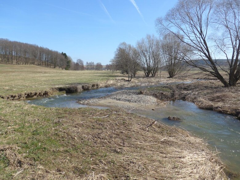 Eigendynamische Entwicklung an der Bobritzsch