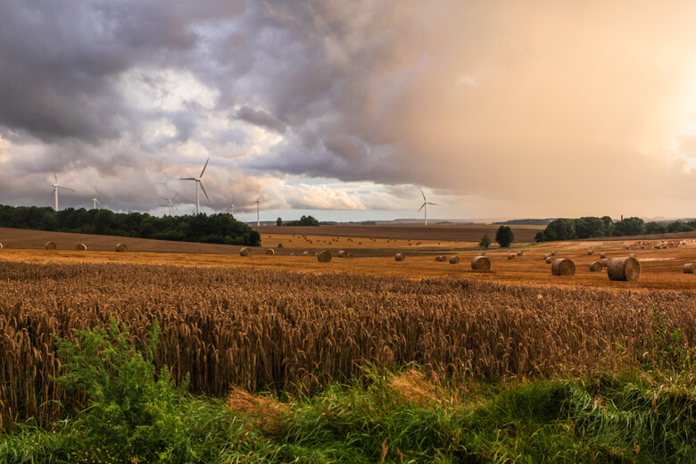 Gewitterstimmung über Getreidefeld