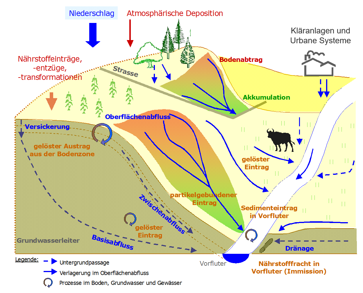 Schema Eintragspfade Nährstoffe