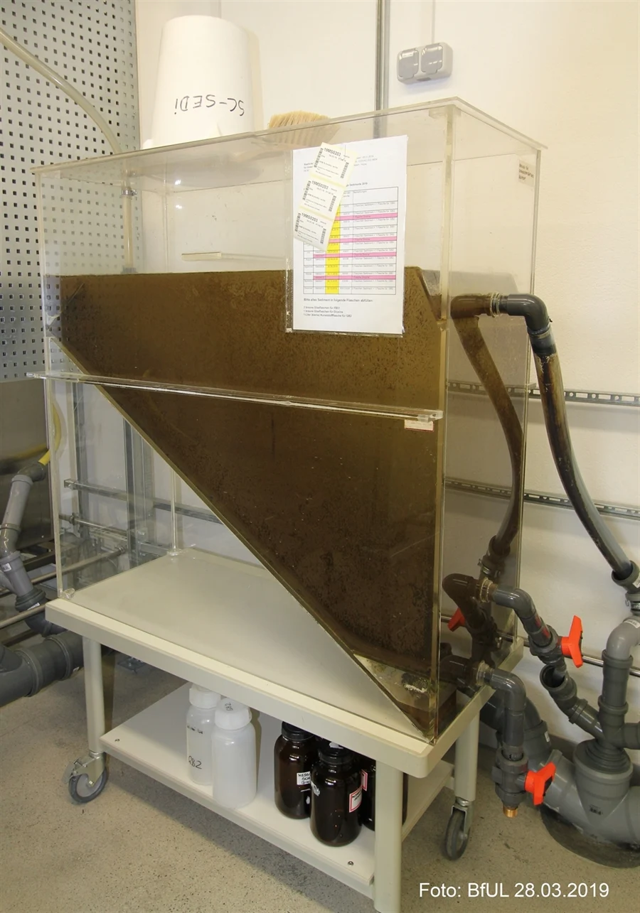 Sedimentationsbecken