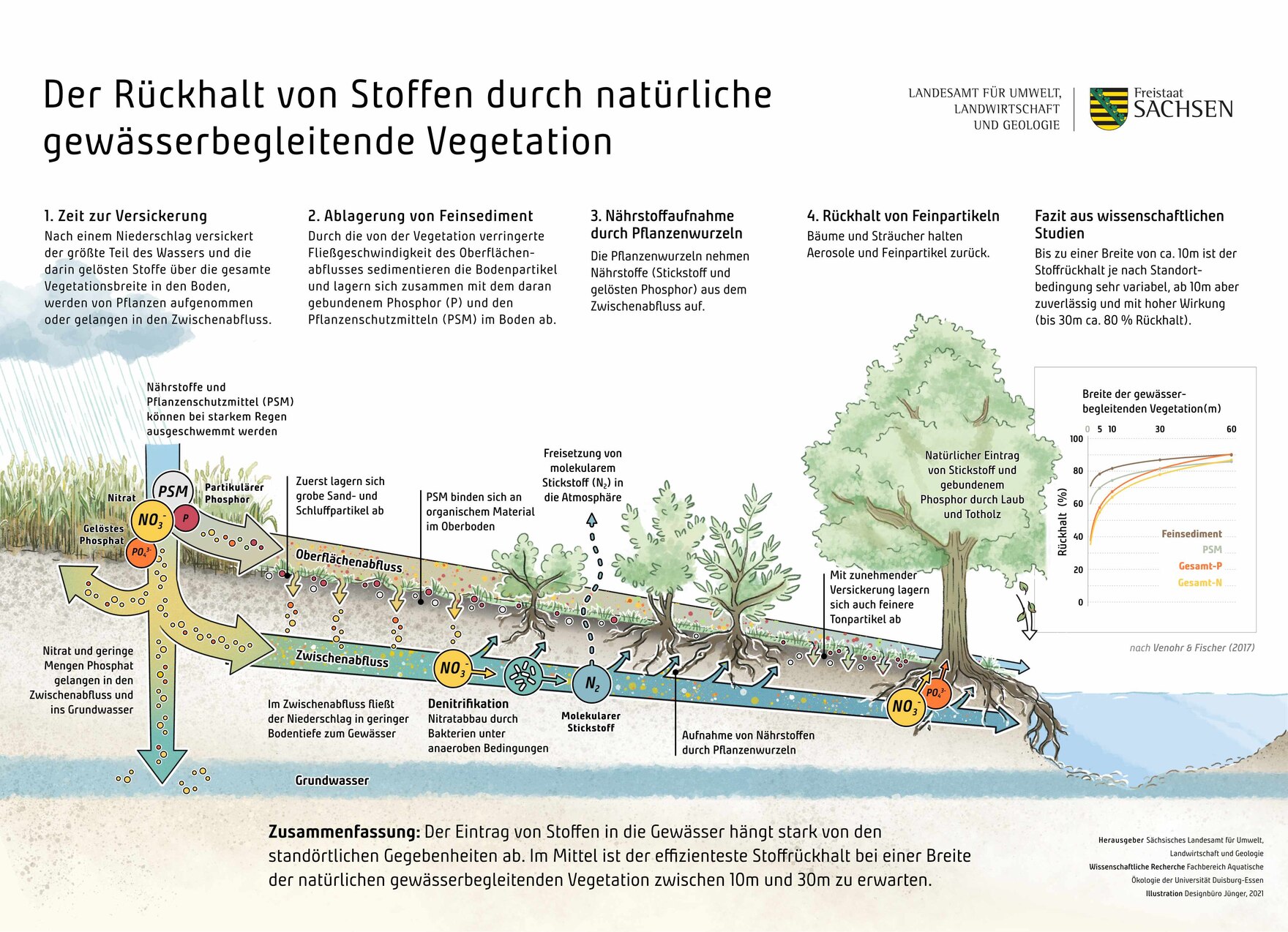 Schemaskizze zum Rückhalt von Stoffen durch natürliche gewässerbegleitende Vegetation