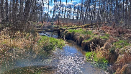 Wilde Flusslandschaft am Kettenbach