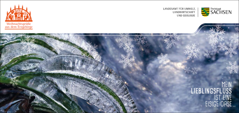 eisiger Bachlauf in Großaufnahme