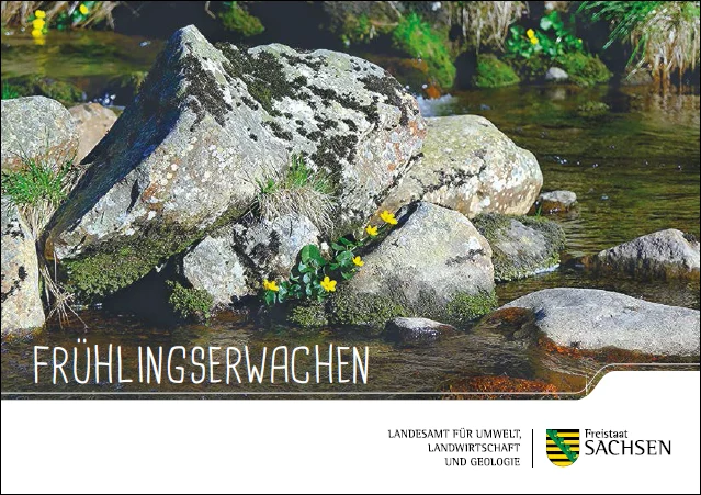 Vorderseite Postkarte »Frühlingserwachen«
