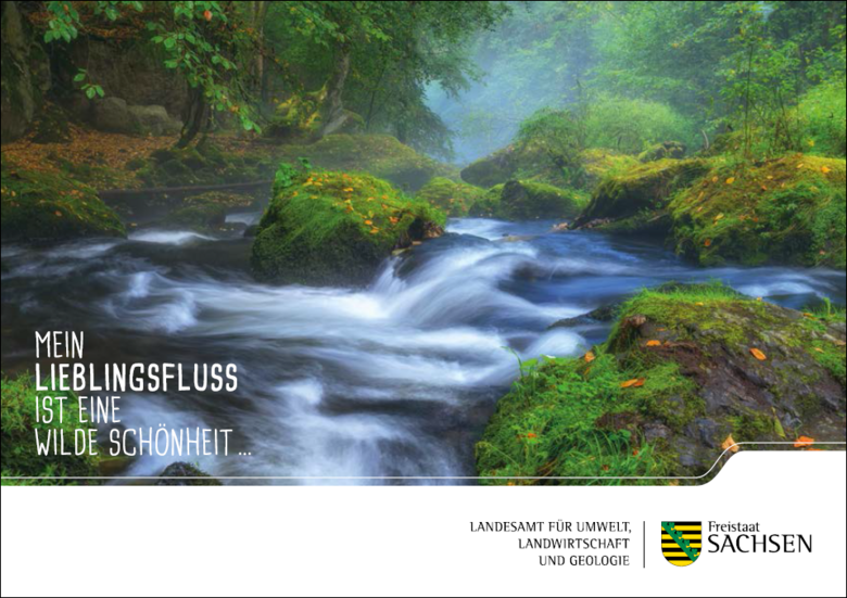 Vorderseite Postkarte »Mein Lieblingsfluss ist eine wilde Schönheit«